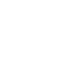 algorithm